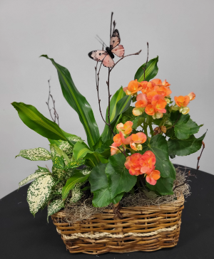 Smaller European Garden Green and Blooming Plants