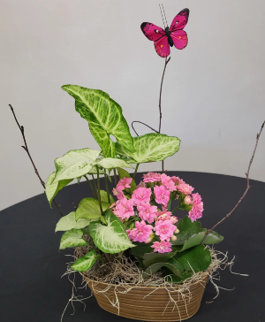 Smallest European Garden Green and Blooming Plants