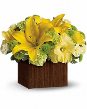 Smiles for Miles TEV15-3 13.5"(w) x 12"(h)