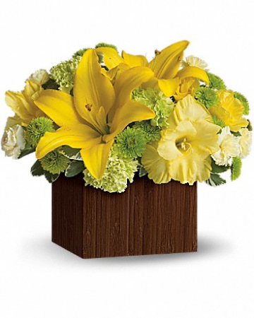 Smiles for Miles TEV15-3 13.5"(w) x 12"(h)
