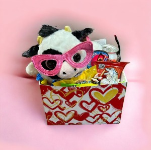 Snack Pack  