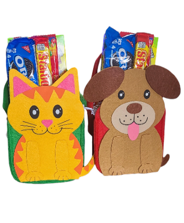 Snack Pack Buddy Gift Pack (Select one) in Pensacola, FL | Cordova Flowers and Gifts