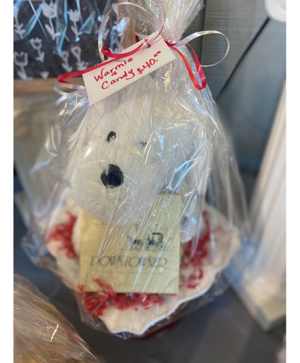 Snoopy Warmie & Downtowner Chocolates  