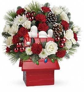 Snoopy's Cookie Jar Christmas