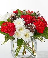 Snow Angel Christmas 