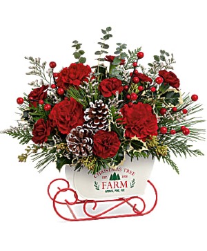 Snow What Fun Christmas Keepsake