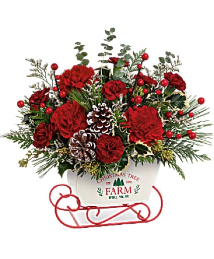 Snow What Fun Christmas Keepsake