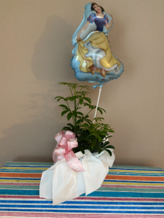 snowwhite plant plant 