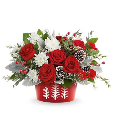 Snowy Pines Centerpiece(NEW)  in Winnipeg, MB | MYRA ROSE FLORIST