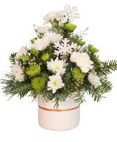 Snowy Wonderland LIMITED QUANTITIES! ORDER YOURS TODAY! AVAILABLE BEGINNING DEC 17TH