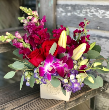 So In Love Cube Arrangements with Roses & Orchids