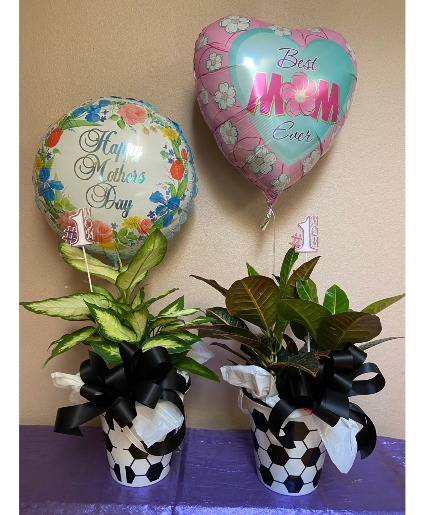 soccer mom plant