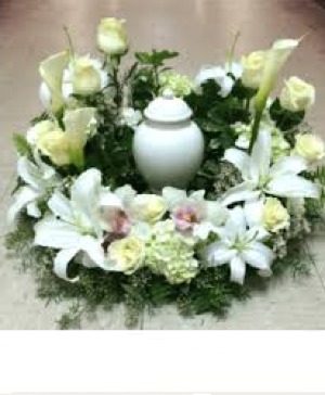 soft and tender  funeral 