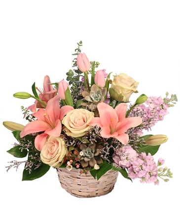 Soft Embrace Basket Arrangement in Lutcher, LA | Flower Basket of Lutcher