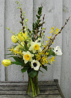 Soft Feeling  Seasonal Flowers