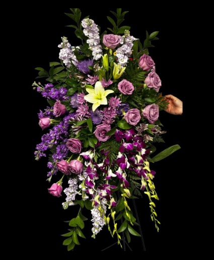Soft Purple Sympathy 
