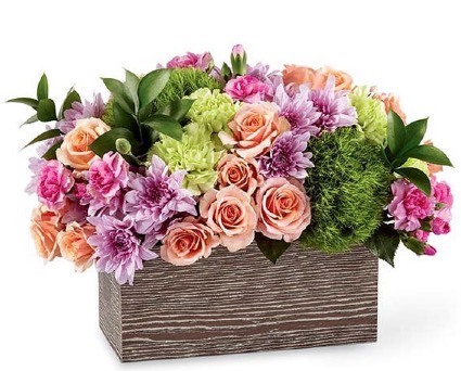 Soft Spring Splendor 