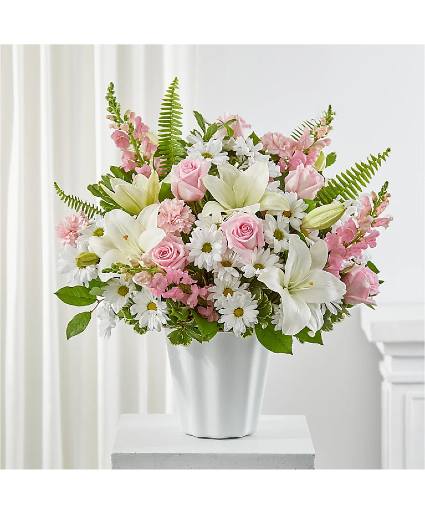 Soft Touch S5696d Arrangement