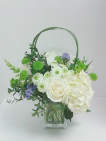 Softly White and Green 