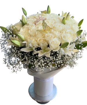 SOFY ROSES  DOZENAS DE ROSAS