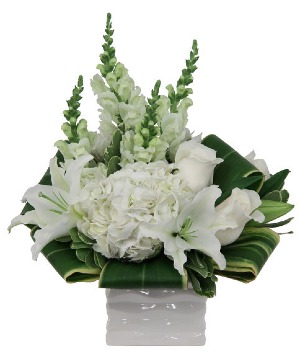 Solace Arrangement