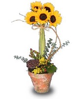 SOLAR POWER Topiary Pot