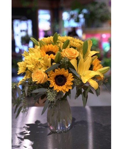 Sun Sign Locally Grown Lilies 