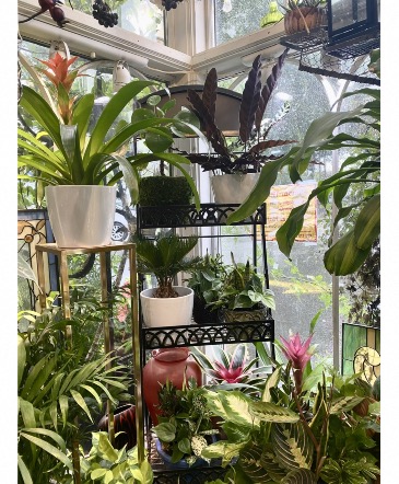 'how to order' -------means we're sold out, choose------------------------- "designer's choice" in Clifton, NJ | Days Gone By Florist
