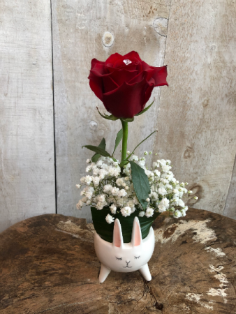 Some-Bunny Loves You Floral arrangement