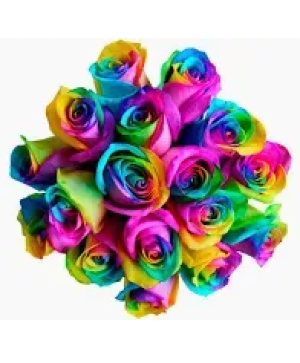 Somewhere over the rainbow dozen roses in vase