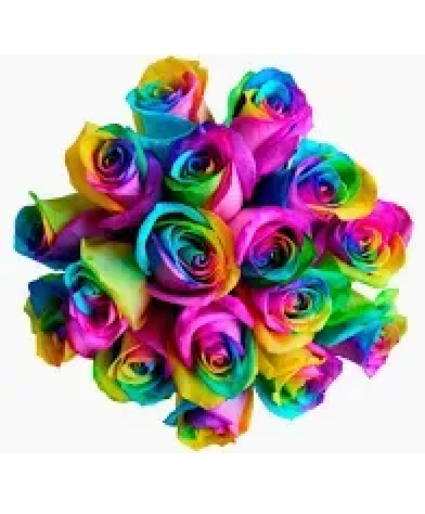 Somewhere over the rainbow dozen roses in vase