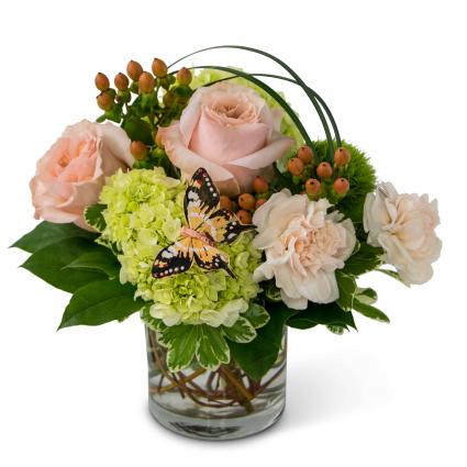 Song of Gratitude Arrangement