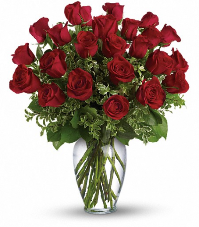 Sophisticated 2 Dozen Red  