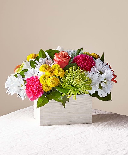 Sorbet Bouquet 
