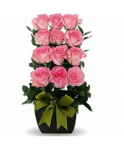 Sorbet Roses 