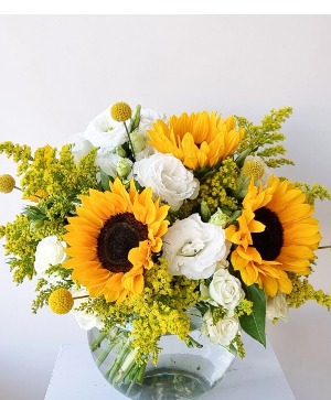 southern sunflowers 