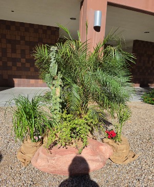 Southwest Grouping 