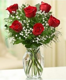 Sparkling Half Dozen Roses - You Choose Color Roses