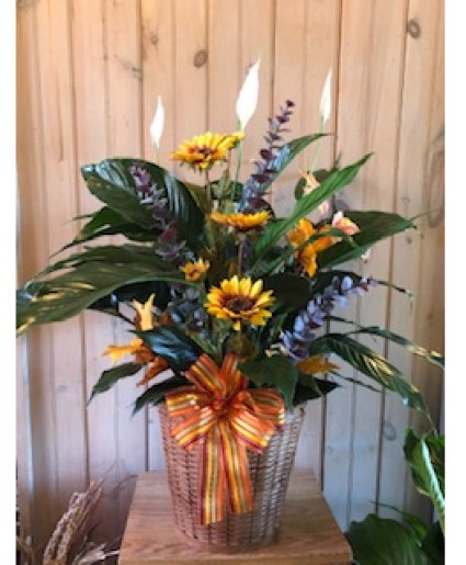 Spathiphyllum with fall decoration Plant