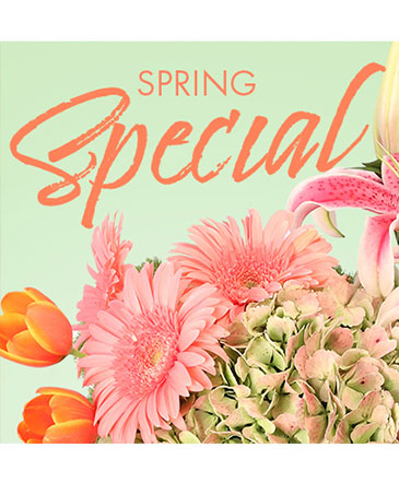 Special of Spring Florals Designer's Choice in Philadelphia, PA | QA Test Account
