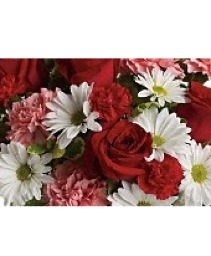 Weekly Special - Romance 