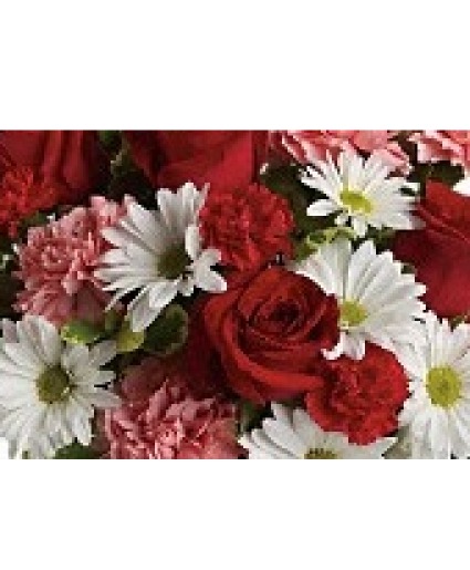 Weekly Special - Romance 