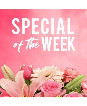 Flower Shop Leonard | Florist in Leonard, TX | The Punchy Petal