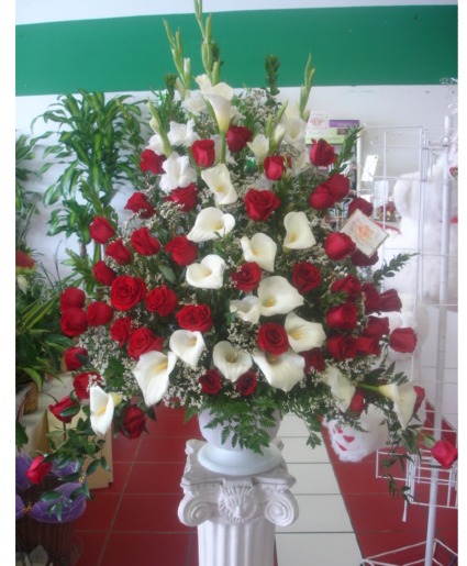 Special Orders Grand Opening/ Congratulations