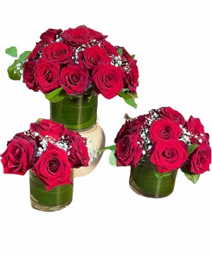 Spellbound Roses Modern Red Rose Arrangement 