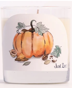 Spiced Pumpkin Just bee soy candle