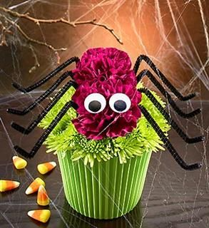 SPIDER CUPCAKE 