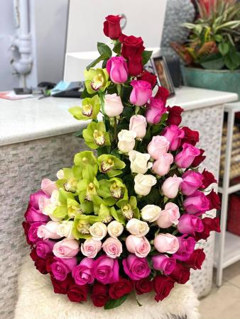 Spiral Pink 