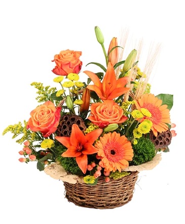 Spirited Citrus Basket Arrangement  in Hermann, MO | Terraflora Botanicals & Gifts