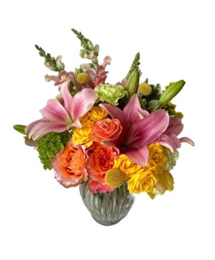 Splash of Citrus Custom, Luxury, Premium